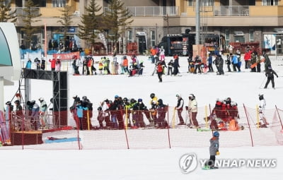 "겨울의 끝자락 정취 만끽"…강원 스키장·제주 나들이 인파