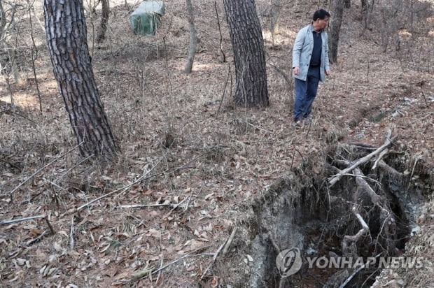 경주 야산서 발견된 땅 꺼짐 현상…원인은 무엇?(종합)