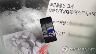 범정부 마약 특별수사팀 출범…"마약청정국 되찾겠다"