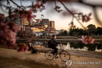 '출산율 제고 안간힘' 日정부, 저소득층 임신확인 진료비 지원