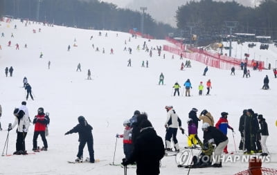 "막바지 겨울 즐기자" 쌀쌀한 주말…전국 축제장 나들이 인파