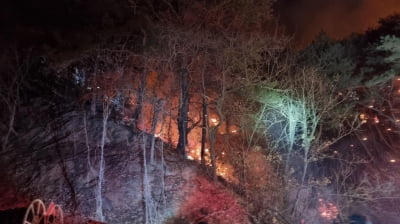 경북 안동 야산에 불…1시간여만에 진화