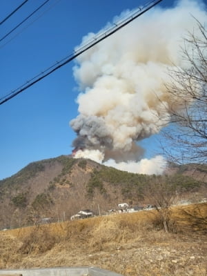 충남 금산·홍성서 잇따라 산불…산림청 "농가 불조심" 당부(종합)