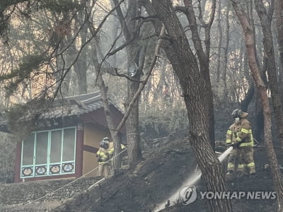 행안부 재난안전관리본부장, 경북 산불 진화 긴급지시