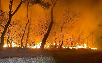 곡성 야산에서 불…80대 남성 숨진 채 발견