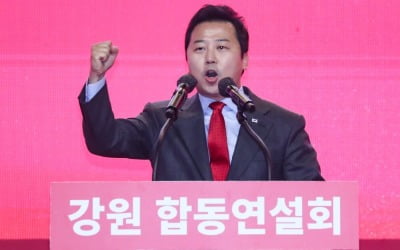 논란의 '장예찬 소설' 어떻길래…이준석 "아이유 팬들 죄송"