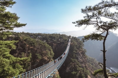 원주 소금산 출렁다리 인근서 여성 추락…10대 청소년 추정