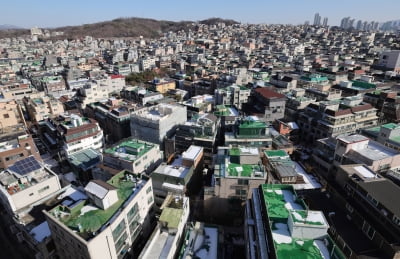 전세 사기 '빌라왕들'…법정서 책임 떠넘기기 바빠