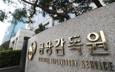 금감원 "올해 금융 IT 리스크 및 소비자보호 위험요인 선제적 대응"