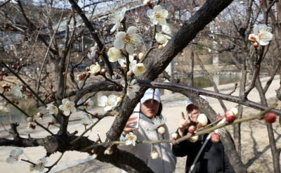 완연한 봄…포근하지만 카지노 한국인·건조 '주의' [날씨]