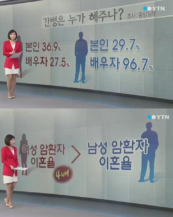 /사진=YTN 뉴스 영상 캡처