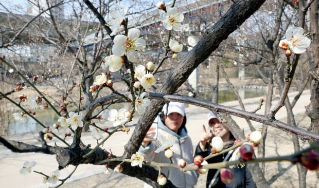 사진=허문찬 기자