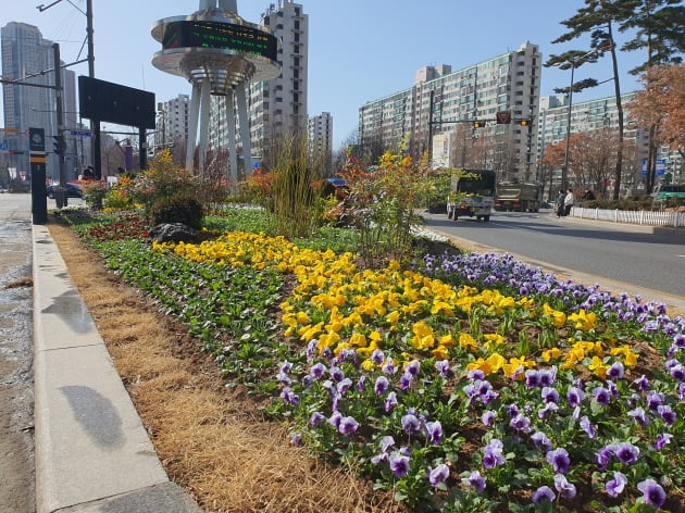 송파구, 사계절 꽃피는 거리 만든다 