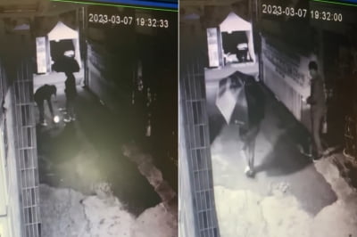 골목길에 '흰색 액체' 뿌리더니 사라졌다…CCTV 살펴보니