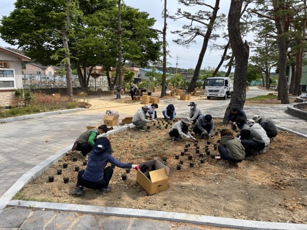 한국수목원정원관리원 직원들이 국립백두대간수목원에서 회복정원을 조성하고 있다. 한국수목원정원관리원 제공