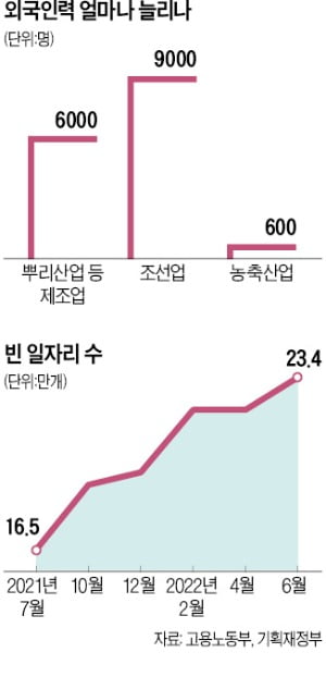 "사업장 규모 구분 없이 외국인도 당연 가입"…고용보험 가입자 증가