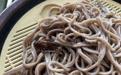 [단독] 오사카 인기 온천 식당 소바에서 '바퀴벌레' 나왔다