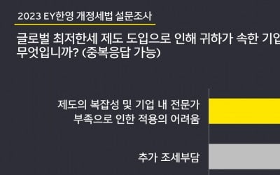 내년 글로벌 최저한세 시행…기업들 "제도 복잡, 전문가 부족" 