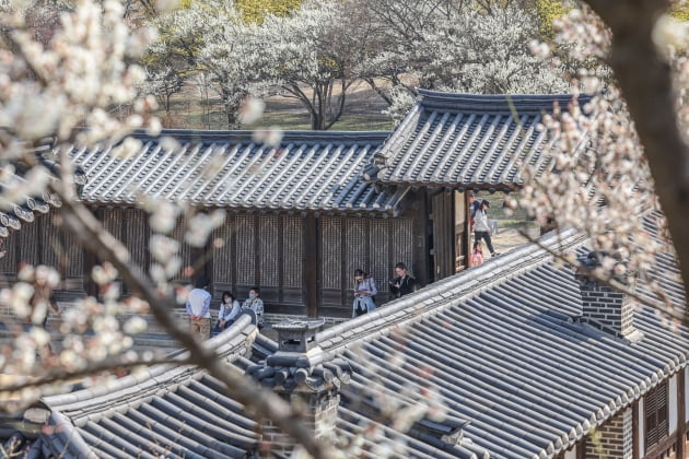 [포토] 봄을 품은 낙선재 특별 관람 실시