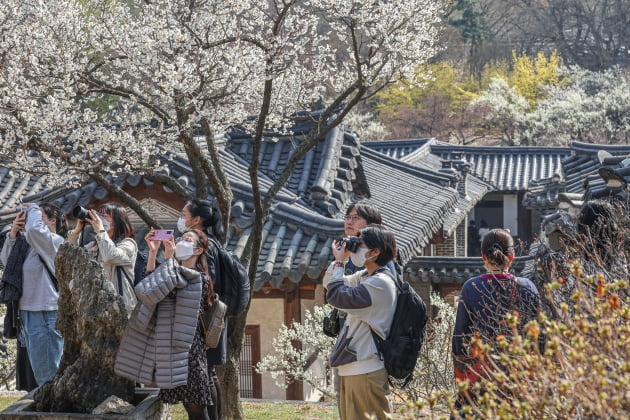 [포토] 봄을 품은 낙선재 특별 관람 실시