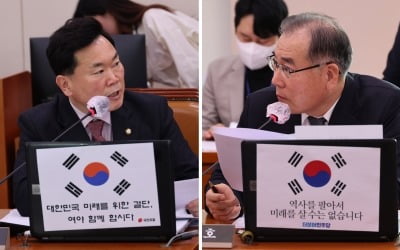 "미래 위한 결단" vs "굴종 외교"…태극기 바람 부는 여의도