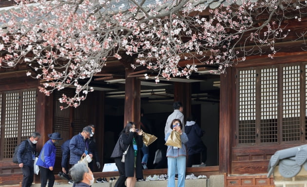 [포토] 덕수궁 전각 내부 특별 관람, '석어당 살구꽃으로 덕수궁 봄을 맞다' 프로그램 진행