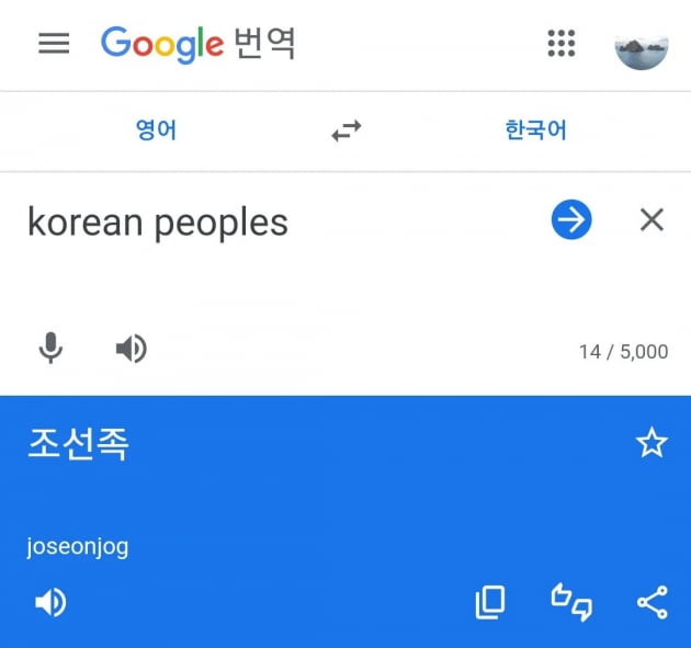 'Korean peoples'이 '조선족'으로 번역되는 구글 번역기/사진=서경덕 성신여대 교수 인스타그램 캡처