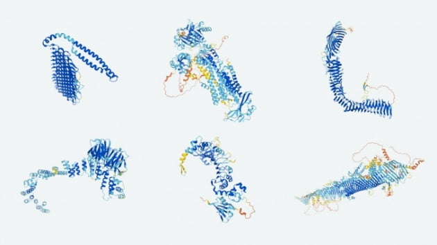지난해 7월 구글 '알파폴드' AI가 예측한 단백질의 3차원(3D) 구조. 알파폴드는 2억 개가 넘는 단백질 구조를 예측해냈다. 딥마인드 제공.