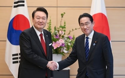 국민의힘 "野, '정상회담서 위안부·독도 논의' 가짜뉴스 배포"