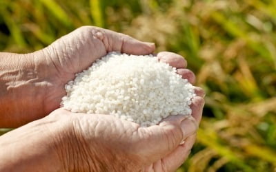 환경단체 "영산강 하류 쌀에서 독성 물질 검출"