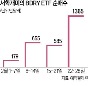 '발틱운임 ETF' 20% 오르자…서학개미, 1주일 새 180억 매수