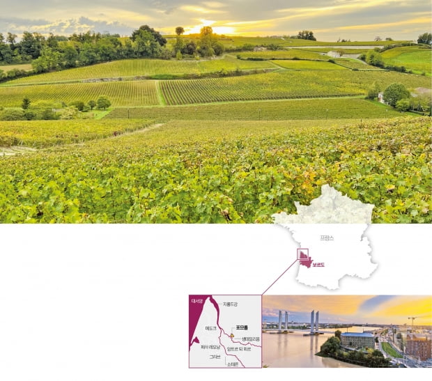 프랑스 보르도 포므롤 지역의 포도밭.(위) 보르도 와인박물관에서 내려다본 보르도 시내.(아래) 