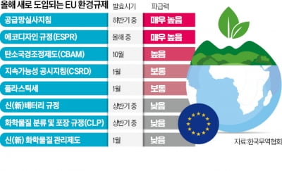 "우리가 힘들 정도면 中은 아예 못 들어가"…환경규제 왕국 EU에 도전하는 韓기업들