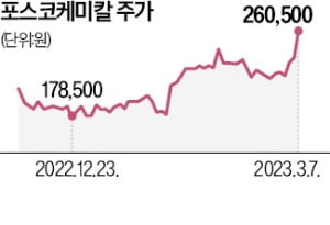 테슬라 삐끗해도…2차전지株 고공행진