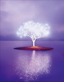 [이 아침의 사진] 보랏빛 호수에 우뚝 선 이정록의 '생명나무'