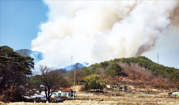 [포토] 경남 합천 야산에 큰 불…주민 200여명 대피 