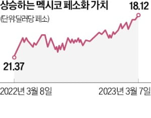 올들어 8.5% 뛴 멕시코 페소화값