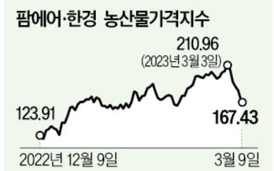 상추·양상추값↓…양파값은 지난해 두 배