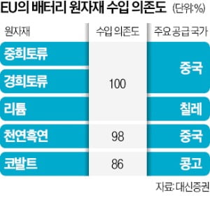 "美-EU 틈바구니서 줄타기 할 판"…국내 배터리·자동차업계는 초긴장