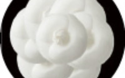 샤넬 시그니처 흰 카멜리아…사실은 향기 없는 꽃이랍니다