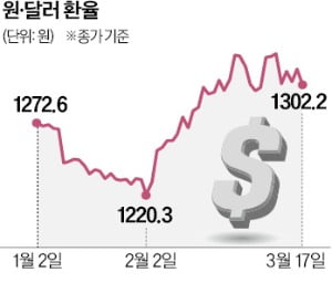 너무 심한 원화 변동성…리디노미네이션 단행? [한상춘의 국제경제 읽기] 