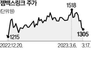 경영권 분쟁 휘말린 카지노 뽀찌