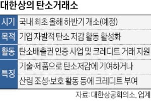 "저전력 제품 만들어도 탄소감축"…대한상의, 기업 맞춤 ESG 앞장