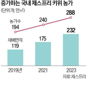 제주 감귤농가, 키위로 갈아타…제스프리 '韓 영토확장'