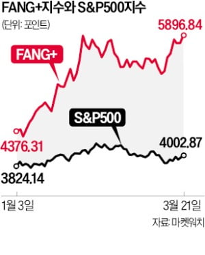 FANG+의 부활…S&P500 상승률의 7배