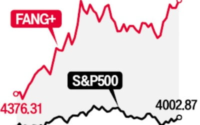 FANG+의 부활…S&P500 상승률의 7배