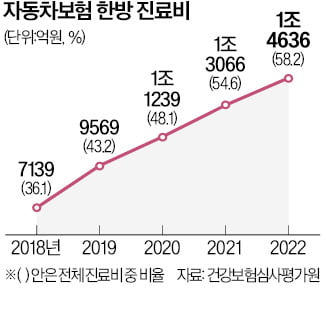 車보험 한방진료비 60% 육박…'첩약 처방일수' 반으로 줄이나