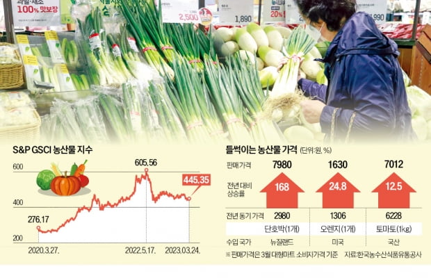 식품시장 '블랙스완'된 이상기후…하반기 엘니뇨 오면 또 '물가 폭등' 