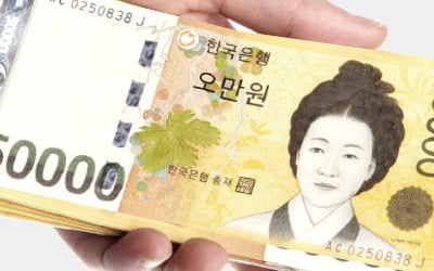 '임플레' 덮친 하이닉스·LG화학…이익 반토막, 인건비는 20% 급증