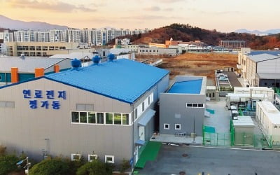 울산테크노파크, 수소산업 '견인차'…연료전지·트램 등 실증사업 수행